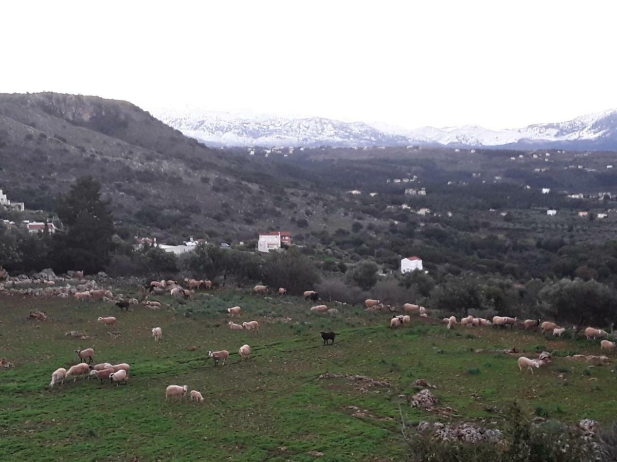 Alpha House Hotel Plaka  Bagian luar foto